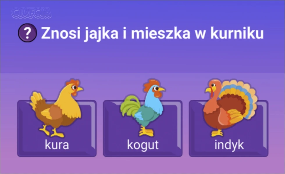Gra