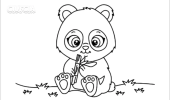 Miś panda kolorowanka